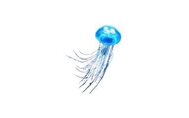 Jellyfish Cursor